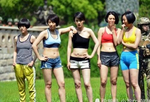 电视剧女子特战队全集在线观看,热血铸就传奇，全集在线观看，激情燃烧的青春岁月  第1张